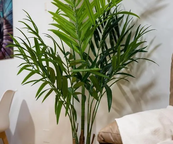 Fonderiviere Caldas De Reis